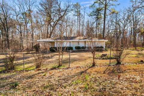 219 E Jackson Street, Ridgeland, MS 39157