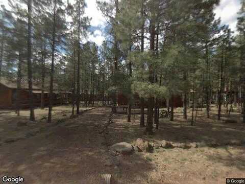 Mark Twain, PINETOP, AZ 85935