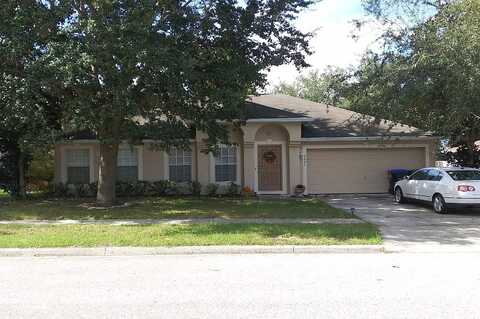 Palmetto Ridge, APOPKA, FL 32712