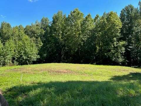 Lot 21 WILDWOOD PLANTATION LANE, CATAULA, GA 31804