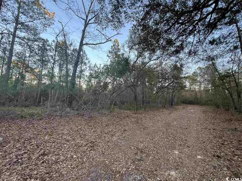 2240 Powell Rd., Georgetown, SC 29440