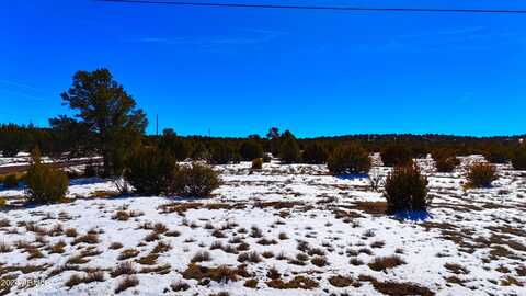 36 County Rd 8405 Road, Vernon, AZ 85940