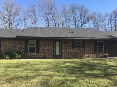 907 Karen Drive, Mena, AR 71953