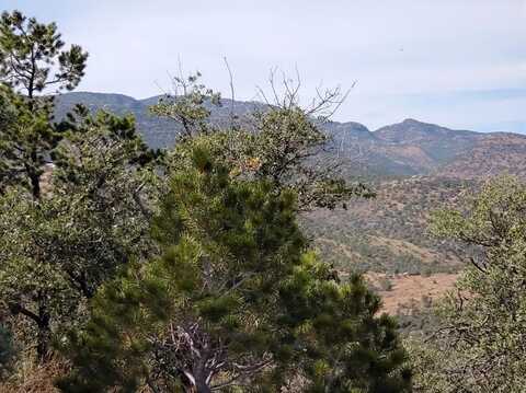 110 Apache Mountain Trail, Fort Davis, TX 79734