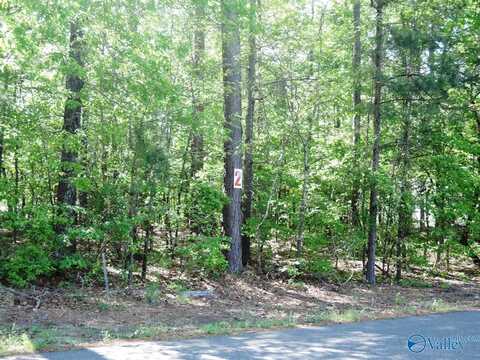 Lot 2 Arrowhead Drive, Jasper, AL 35504