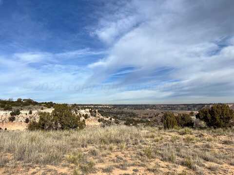 17650 JOHNS WAY Boulevard, Amarillo, TX 79118