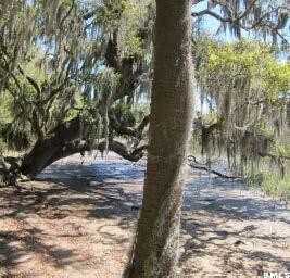 40 Briarpatch Lane, Beaufort, SC 29907