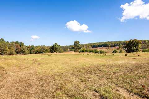 0 Old Dirt Road, Graysville, TN 37338