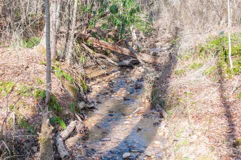 Tbd Two Brooks Trail, Fletcher, NC 28732