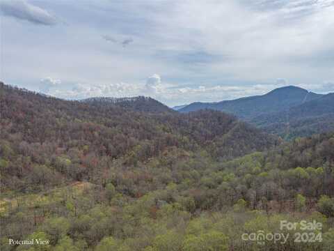 00 Weaver Lane, Mars Hill, NC 28754