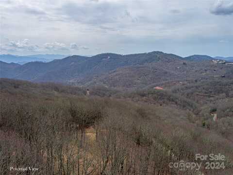 00 Grouse Thicket Lane, Mars Hill, NC 28754
