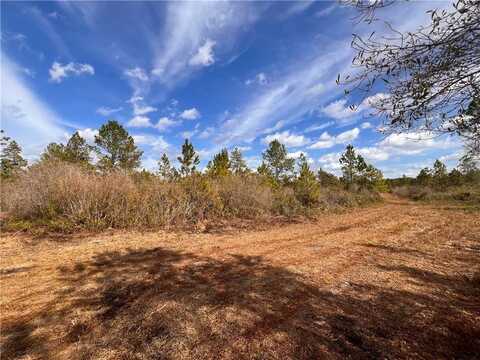 Ll 53 & 68 TRK 9 3.46 ACRES, Folkston, GA 31537