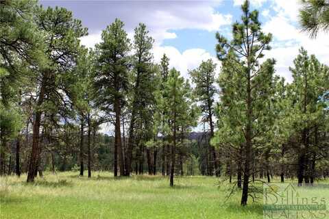 Tbd Deer Lane, Roundup, MT 59072