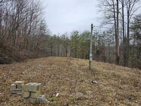 10374 South Wilderness Road, Livingston, KY 40445