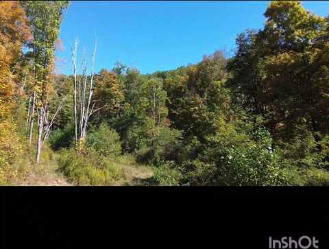 661 Timber Ridge Road, Rainelle, WV 25962