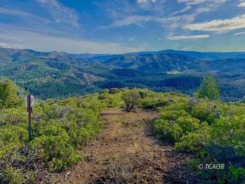 761 Fulton Gulch Rd, Hayfork, CA 96041