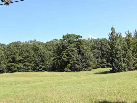 0000 Allen Drive, Monticello, AR 71655