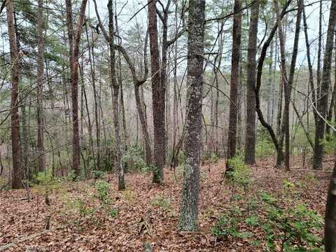 163 Wild Pansy Circle, Big Canoe, GA 30143