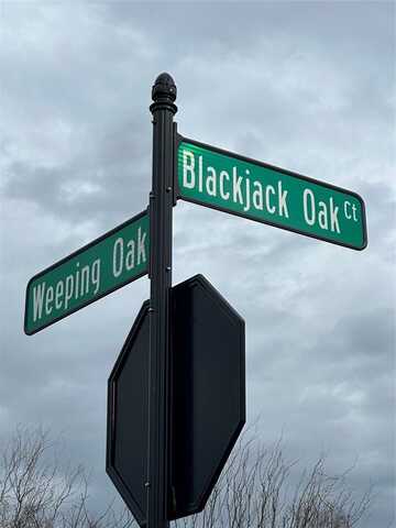 6289 Blackjack Oak Court, Royse City, TX 75189