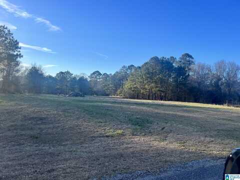 33 SAGEBRUSH ROAD, ASHVILLE, AL 35953