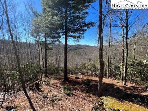 L92 Beaver Dam Road, Elk Park, NC 28622