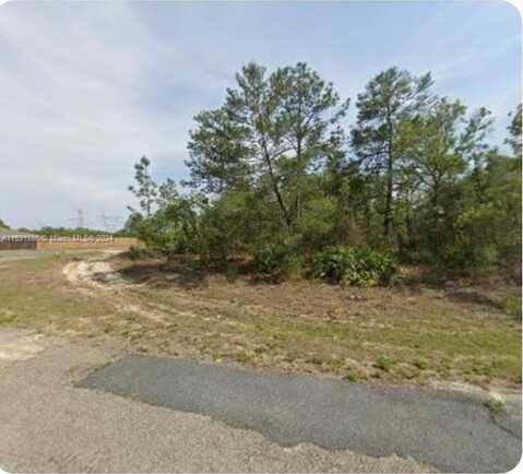 6901 N Lime Drive, Other City - In The State Of Florida, FL 34433