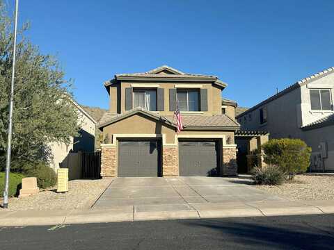 Silver Fox, PHOENIX, AZ 85045