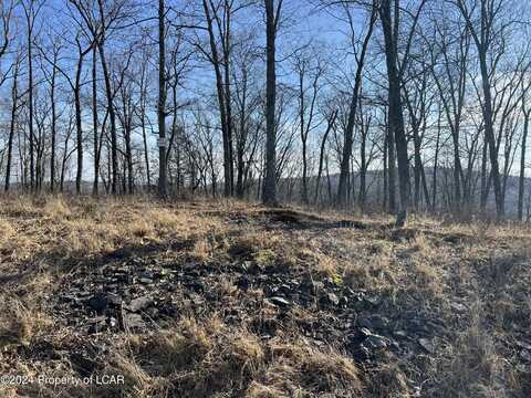 Lot 78 Scenicview Drive, Dallas, PA 18612