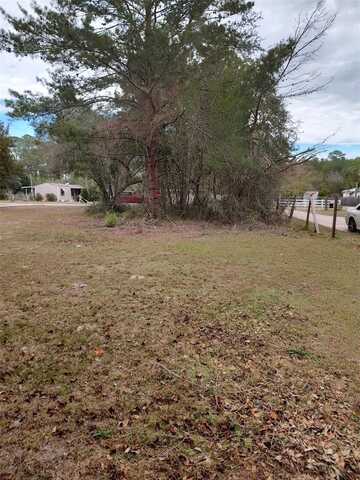 Lot 2 HOLLY AVENUE, PAISLEY, FL 32767