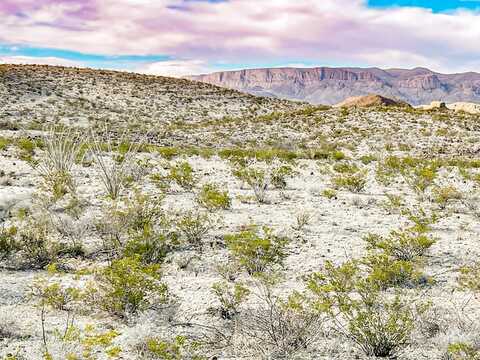 19800 Reimers Road, Terlingua, TX 79852