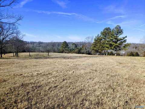 6860 Hwy 207, Anderson, AL 35610