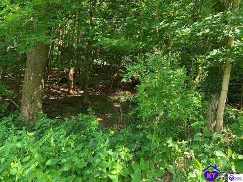 Lot 00 Neptune Drive, Radcliff, KY 40160