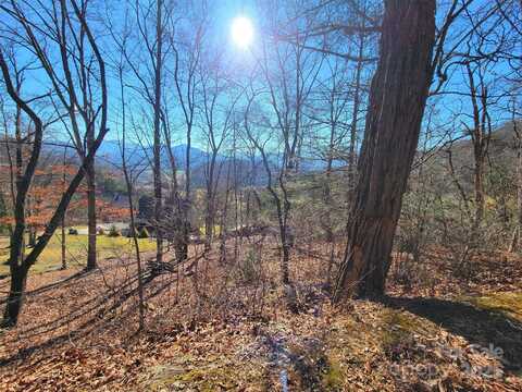 50 Feather Lane, Waynesville, NC 28786