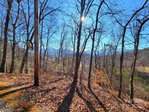 50 Feather Lane unit: 50, Waynesville, NC 28786