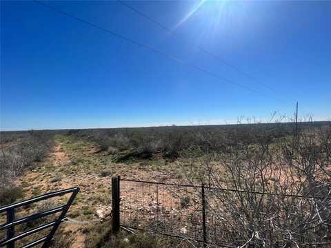 0 County Road 282, Benavides, TX 78341