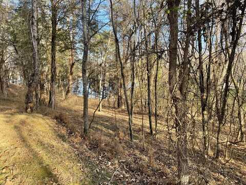 2015 Tahlequah Lane, Mooresburg, TN 37811