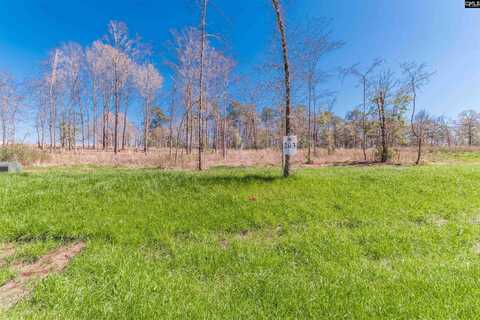 0 Lands End Lane, Prosperity, SC 29127