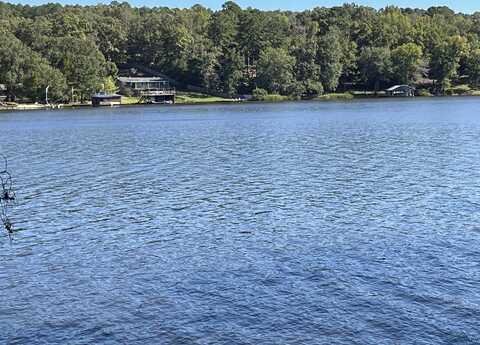 Lots 20-21 Lake Gladewater Dr, Gladewater, TX 75647