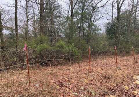 Lot 3 Booth Creek Road, Williford, AR 72482