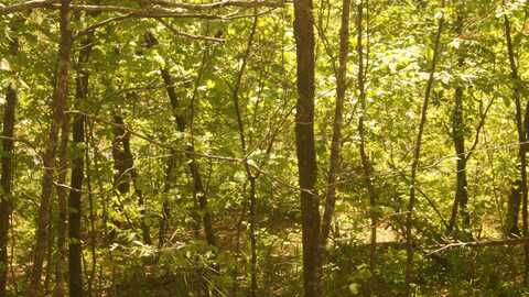 Lot 3 Booth Creek Road, Williford, AR 72482