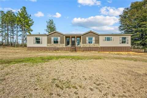 97 OLD HOLMESVILLE Road, Tylertown, MS 39667