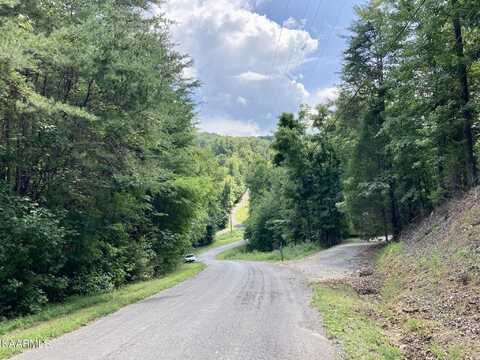 Lakewood Village Drive, Spring City, TN 37381