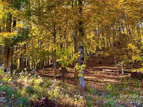 000 Flame Azalea Lane, Mars Hill, NC 28754