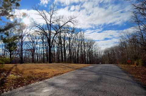 Dogwood Dr (Lot 21), West Point, MS 39773