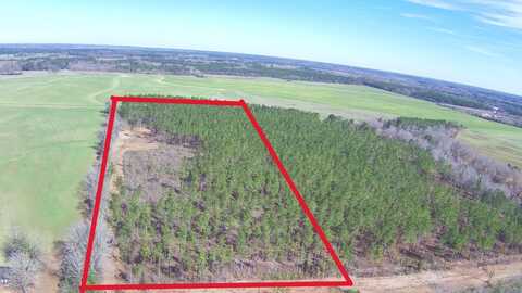 0-Lot 1 Ozark Rd., Newville, AL 36353