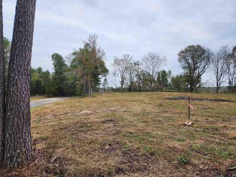 LOT 7 - TBD NE CR 363, Winona, TX 75792