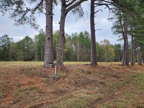 LOT 3 - TBD NE CR 363, Winona, TX 75792