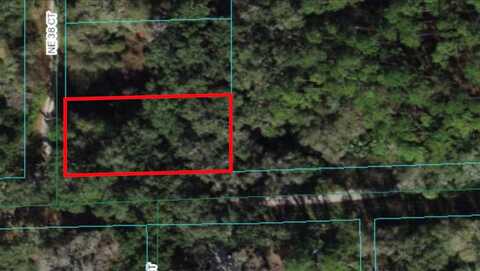 3865 NE 170TH STREET, CITRA, FL 32113