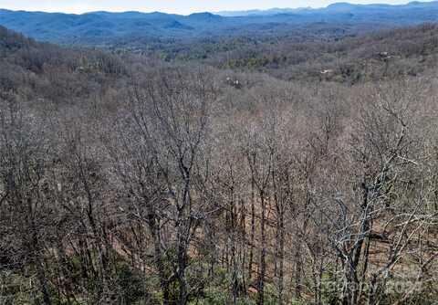 Tbd Connestee Trail, Brevard, NC 28712