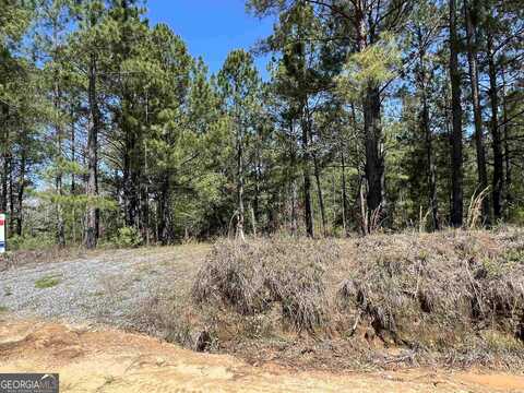 1620 Mayberry Road, Dublin, GA 31021